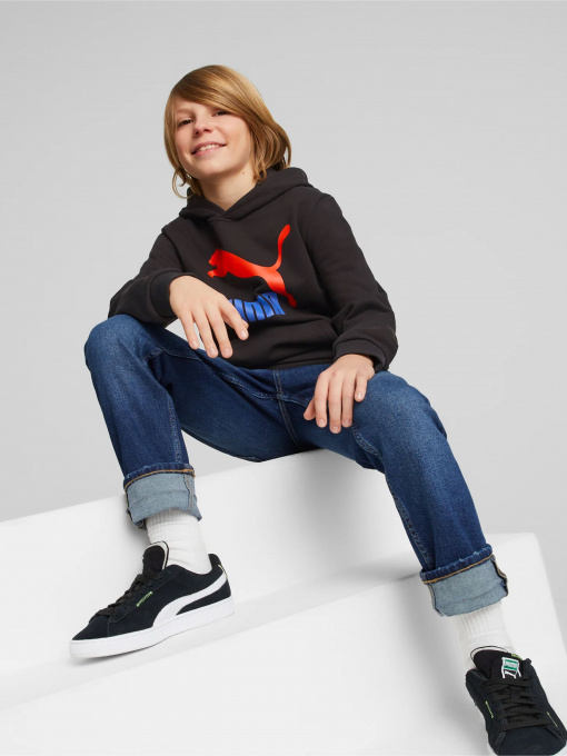 Худи и свитшоты PUMA Classics модель 53952701 Фото