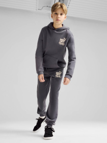 Брюки PUMA ESS+ MID 90S модель 68187869 Фото