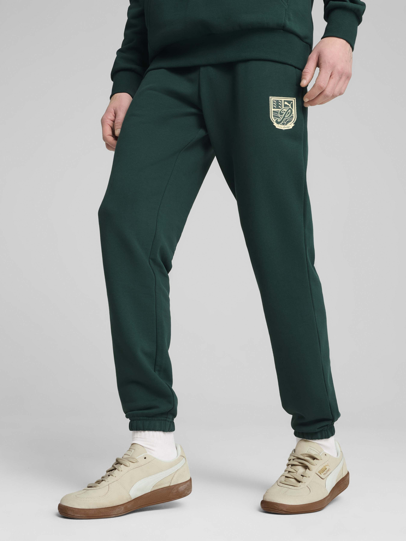 Штани PUMA SPORTS LEGACY GRAPHIC модель 62963160 Штани PUMA SPORTS LEGACY GRAPHIC модель 62963160 Фото