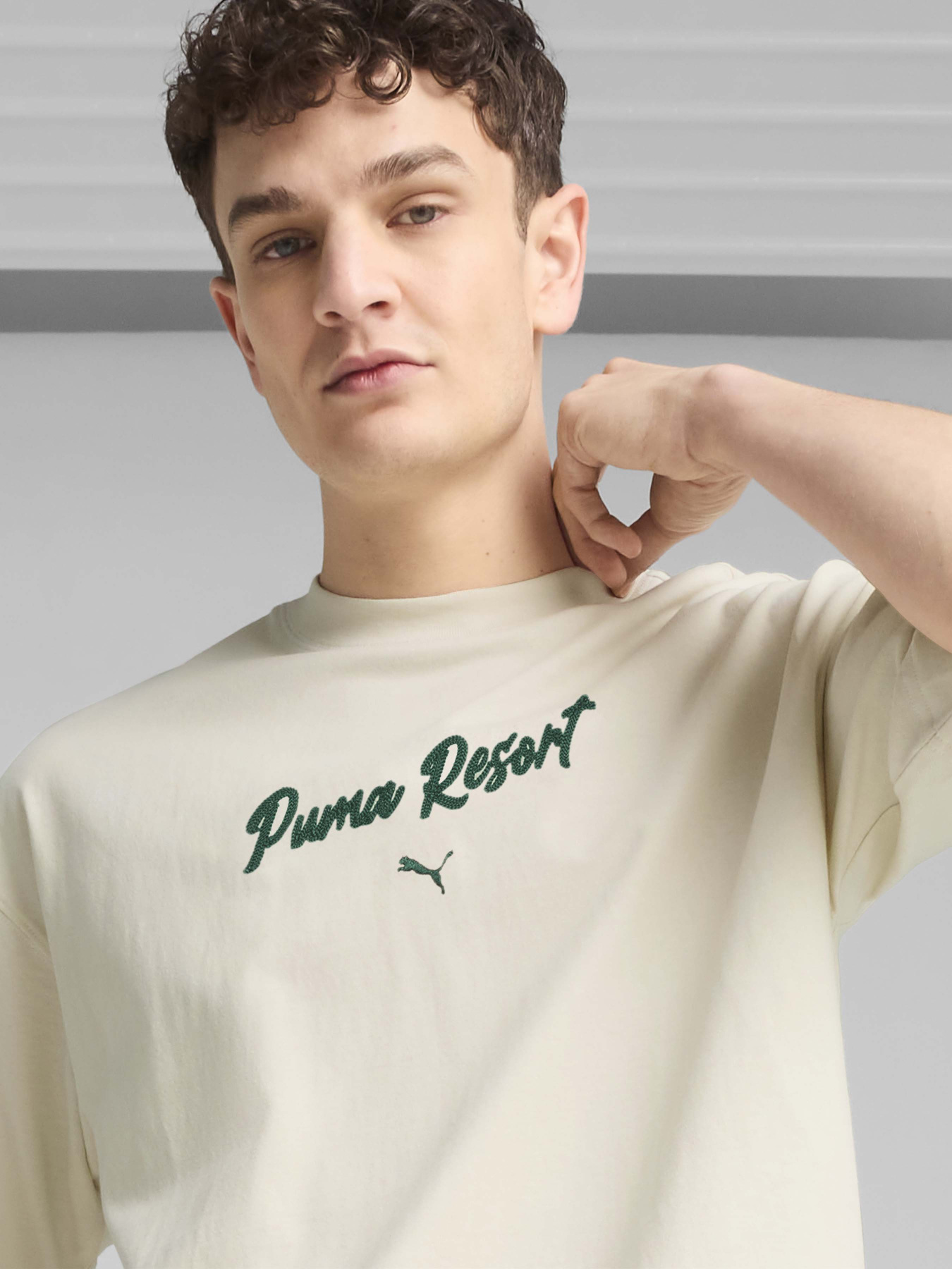 Футболки і поло PUMA PREMIUM ESSENTIALS OVERSIZED G модель 62966687 Фото