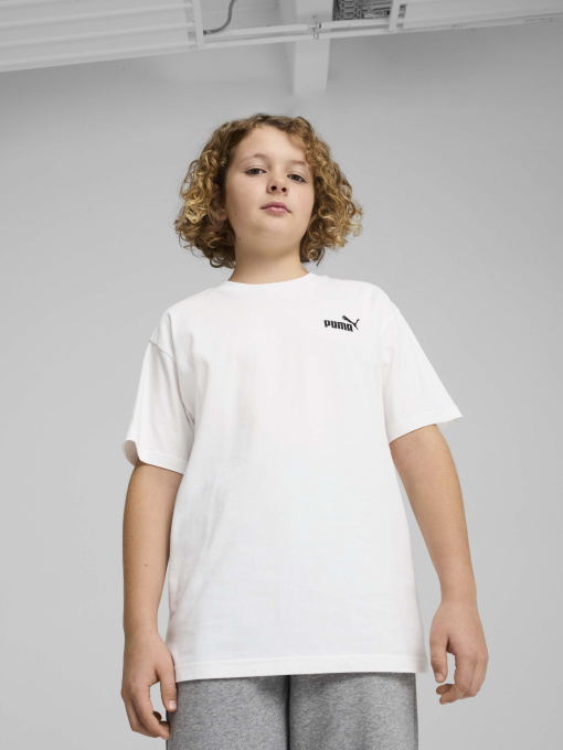 Футболки і поло PUMA ESSENTIALS SMALL NO. 1 LOGO RE модель 68492002 Фото