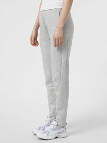 Штани PUMA EVOSTRIPE модель 68505104 Фото