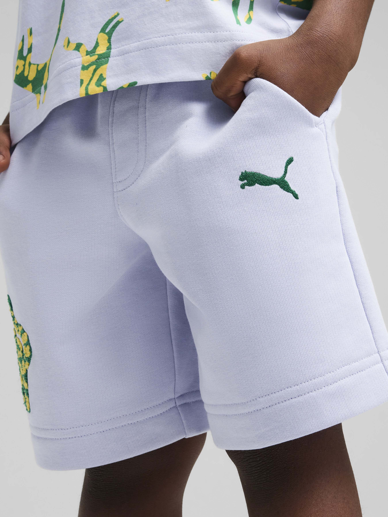 Шорти PUMA CATS CLUB модель 68516447 Фото