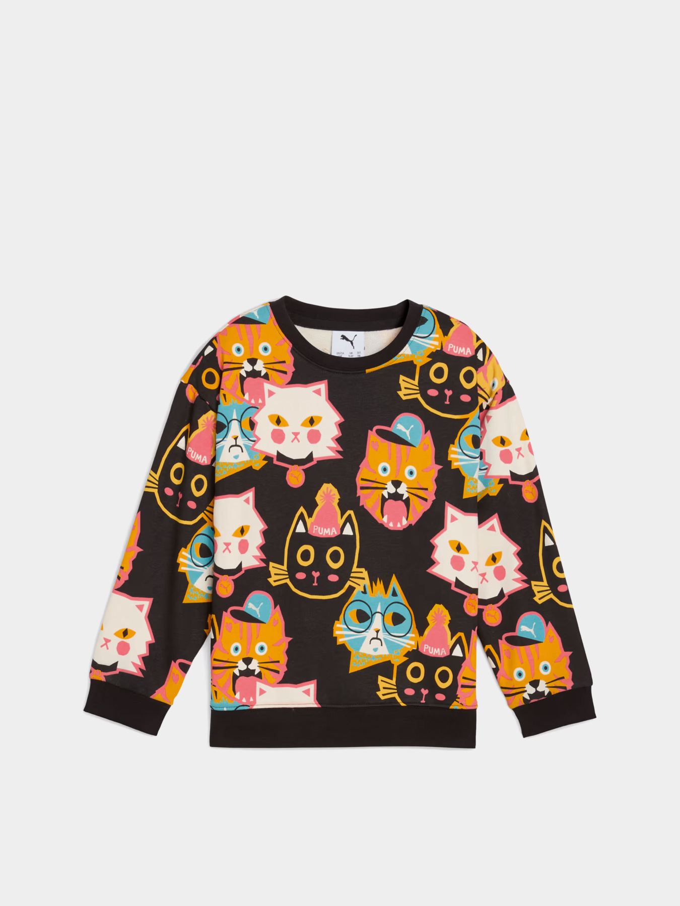Худі та світшоти PUMA MOODY CAT CREW KIDS модель 63220701 Фото