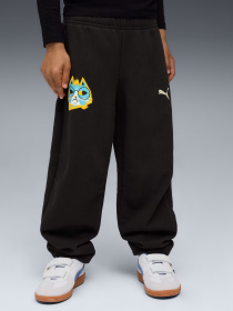 Штани PUMA MOODY CAT SWEATPANTS KIDS модель 63220901 Фото
