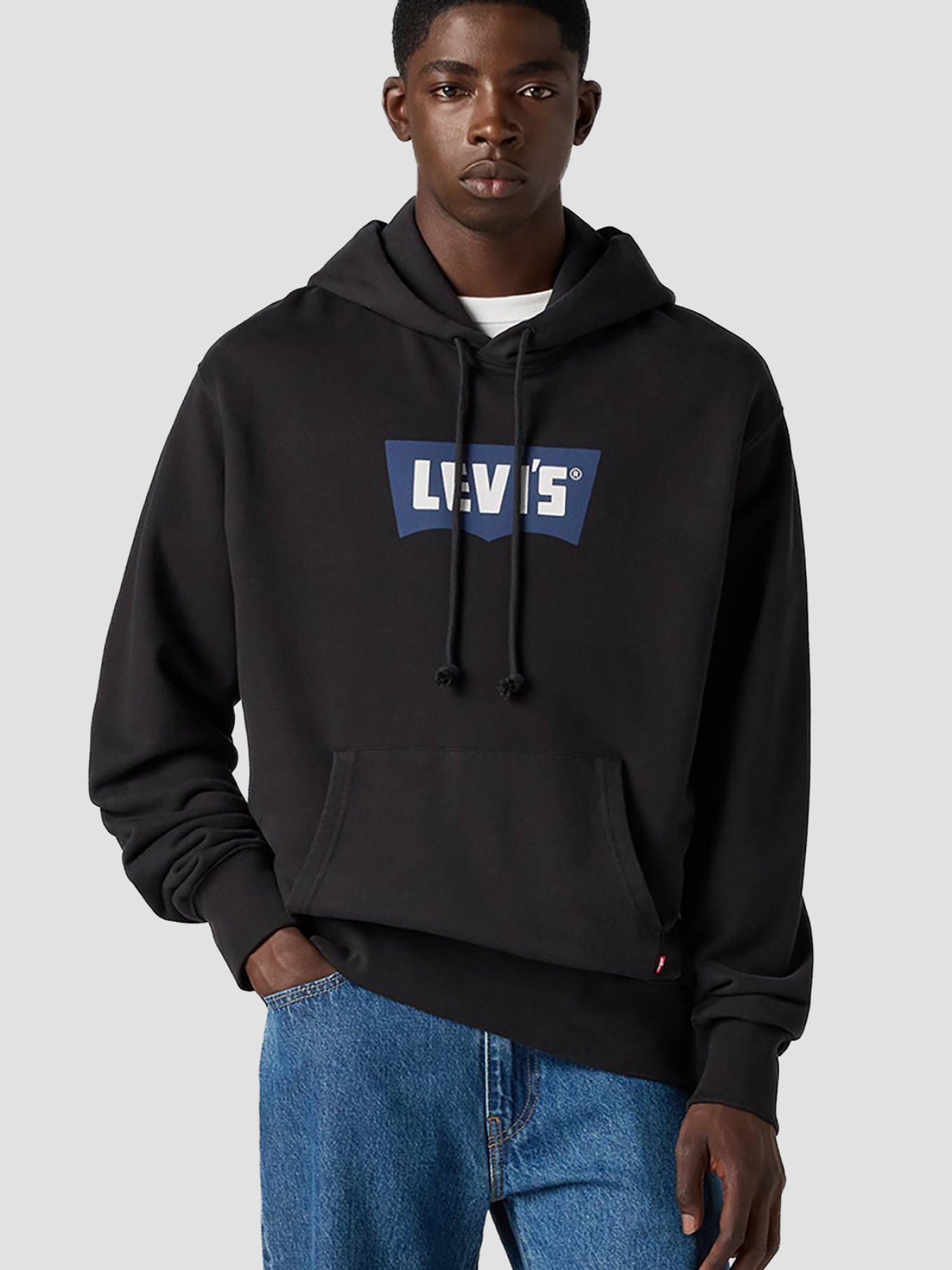 Худі та світшоти Levi's модель A7386;0019 Фото