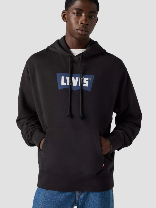 Худі та світшоти Levi's модель A7386;0019 Фото