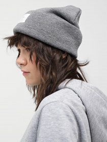 Шапки и кепки Alpha Industries Essential Beanie модель UHE51500C1_063 Фото