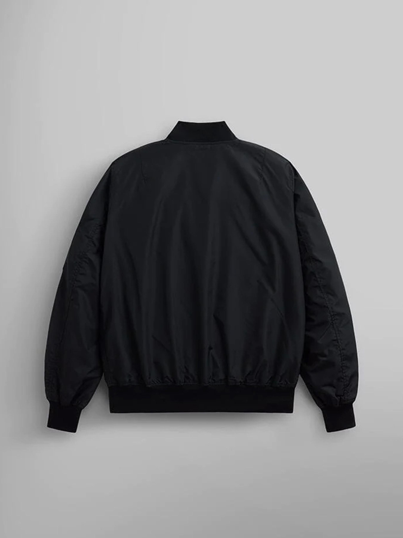 Куртки и дубленки Alpha Industries L-2b Skymaster Gen II модель MJL52000C1_001 Фото