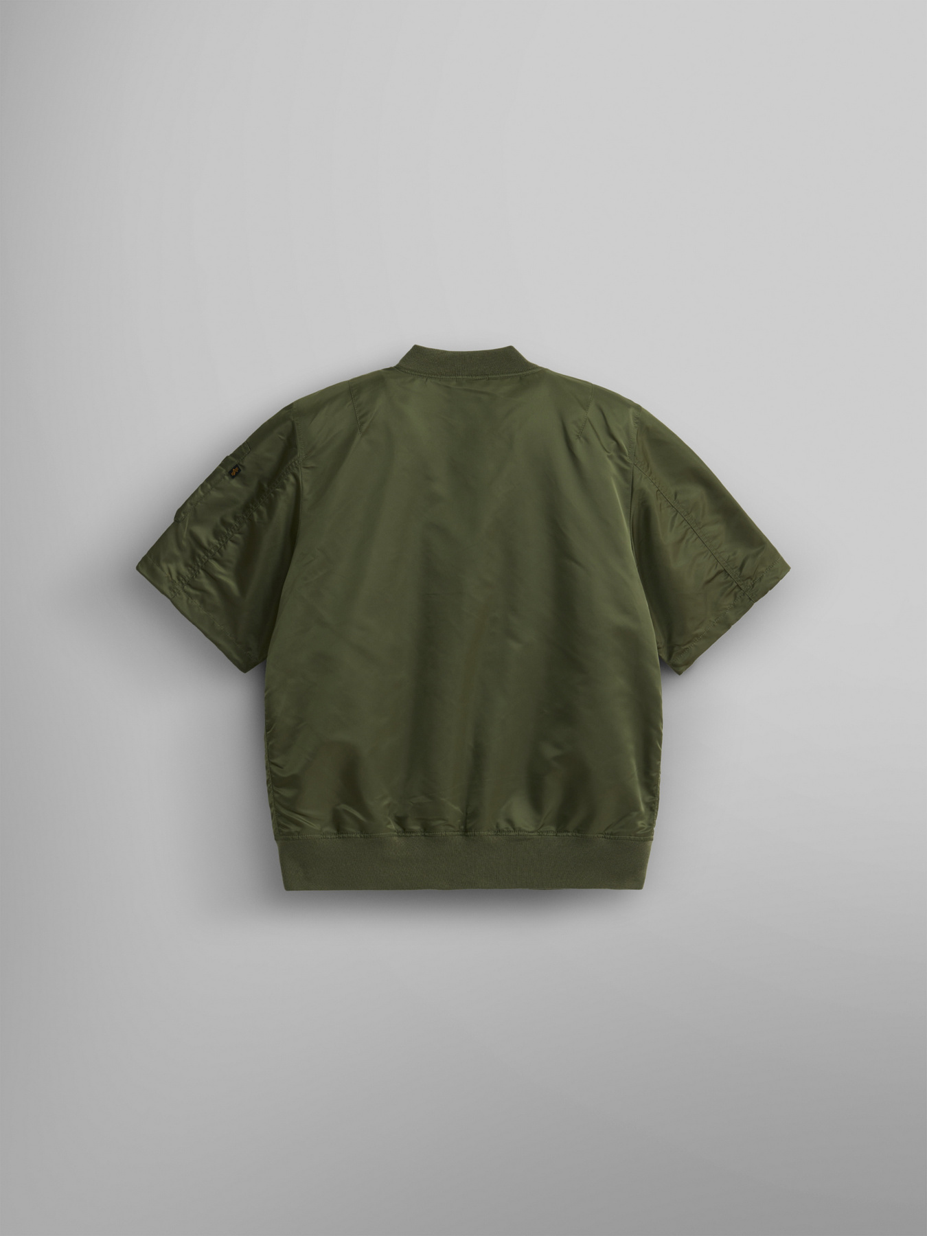 Куртки и дубленки Alpha Industries L-2b Hooded Gen II модель UJL54000C1_359 Куртки и дубленки Alpha Industries L-2b Hooded Gen II модель UJL54000C1_359 Фото