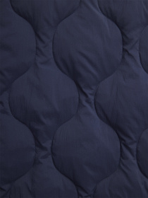 Куртки и дубленки Alpha Industries Lightweight Quilted Down модель MJL54501C1_410 Фото