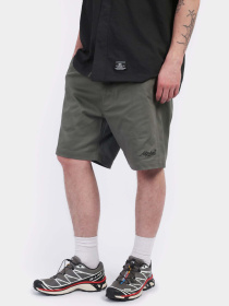 Шорты Alpha Industries CTN модель MBC55000C1_303 Фото