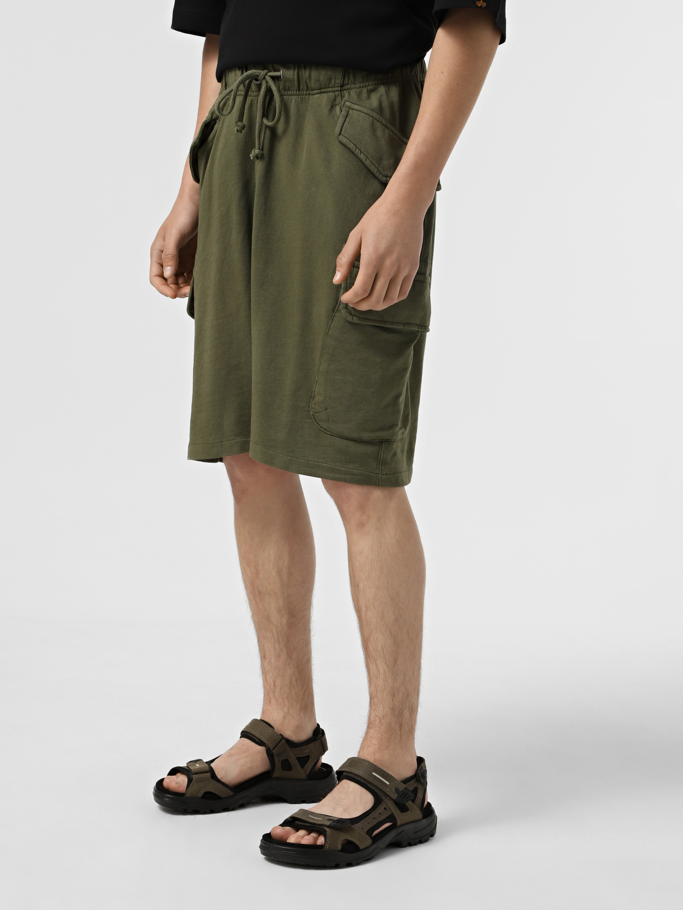 Шорти Alpha Industries Terry Dyed модель MBT55000C1_303 Фото
