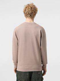Худи и свитшоты Alpha Industries Essential French Terry Crewneck Gen II модель USE55001C1_249 Фото