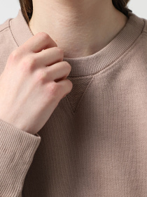 Худи и свитшоты Alpha Industries Essential French Terry Crewneck Gen II модель USE55001C1_249 Фото