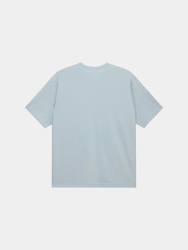 Футболки і поло Alpha Industries RELAXED FADED PRINT TEE модель UTO56011PK_484 Фото