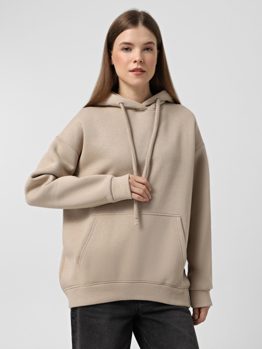 Худі та світшоти Braska модель 13103-26 Фото