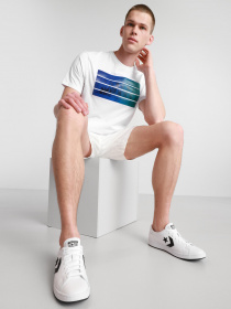 Кеди CONVERSE All-Court OX модель 168784C Фото