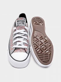 Кеди CONVERSE Chuck Taylor All Star модель 170109C Фото