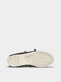 Кеди CONVERSE CHUCK TAYLOR LO модель A16123C Фото
