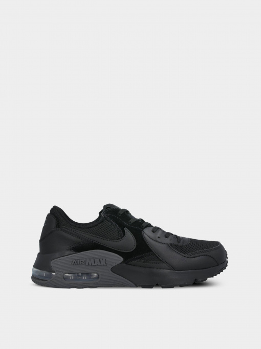 Кросівки NIKE AIR MAX EXCEE модель CD4165-003 Фото