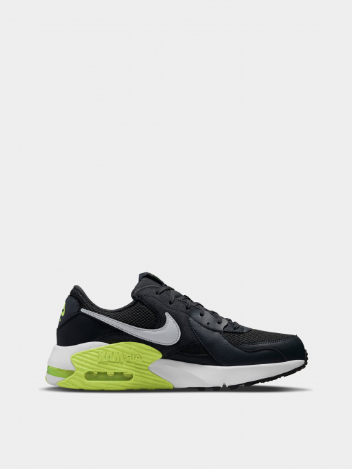 Кросівки NIKE Air Max EXCEE модель CD4165-016 Фото