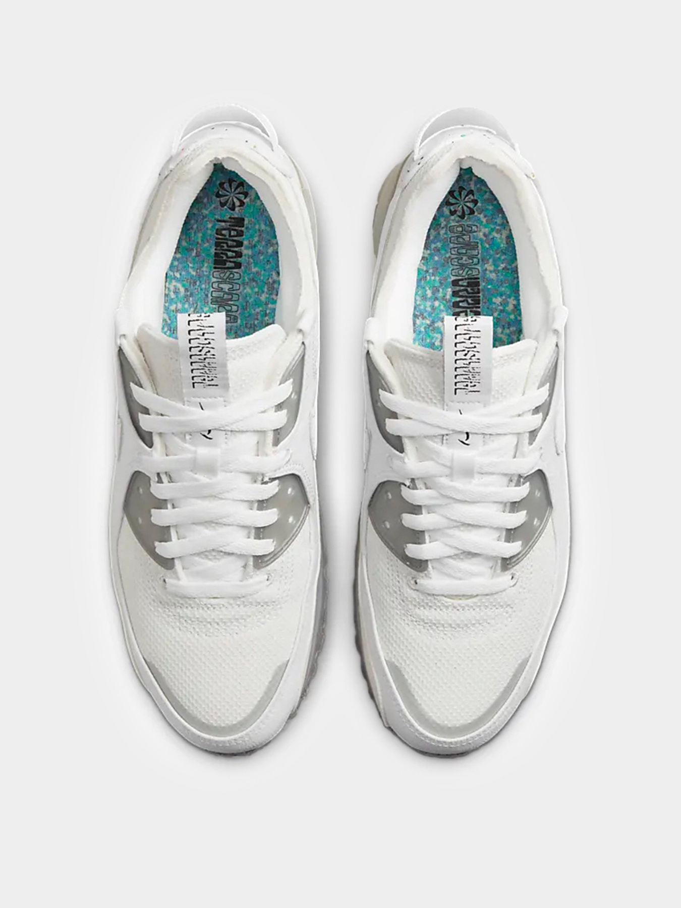 Кросівки NIKE Air Max Terrascape 90 модель DQ3987-101 Фото