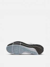 Кроссовки NIKE Air Zoom Pegasus 39 модель DH4071-010 Фото