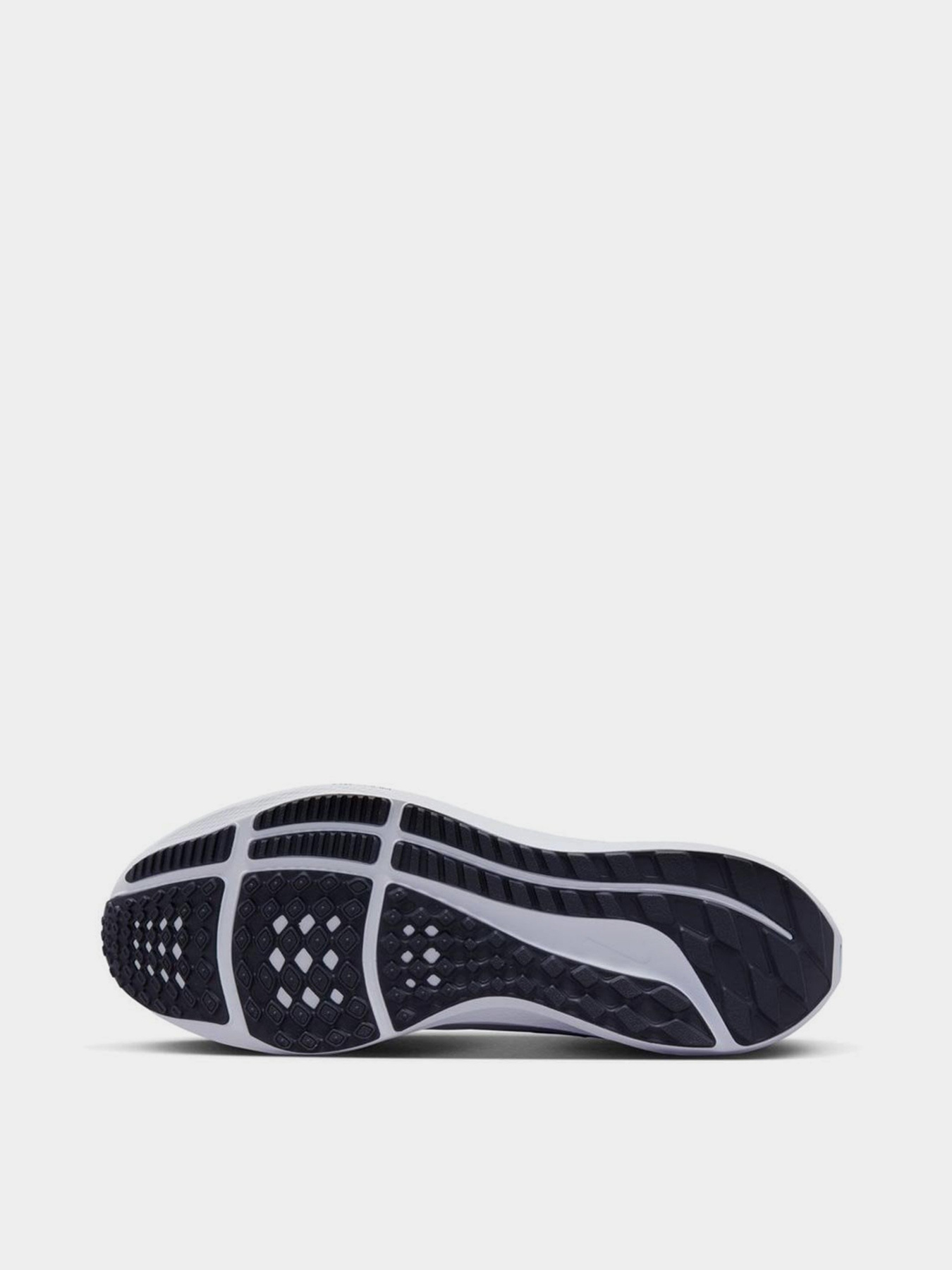 Кросівки NIKE Air Zoom Pegasus модель DV3853-001 Фото