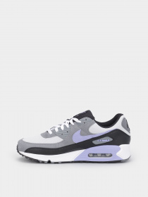Кроссовки NIKE Air Max 90 модель DM0029-014 Фото