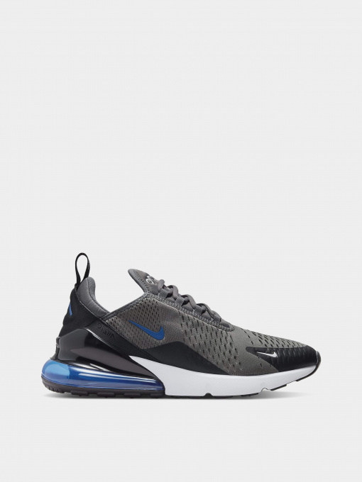 Кроссовки NIKE Air Max 270 модель DV6494-001 Фото