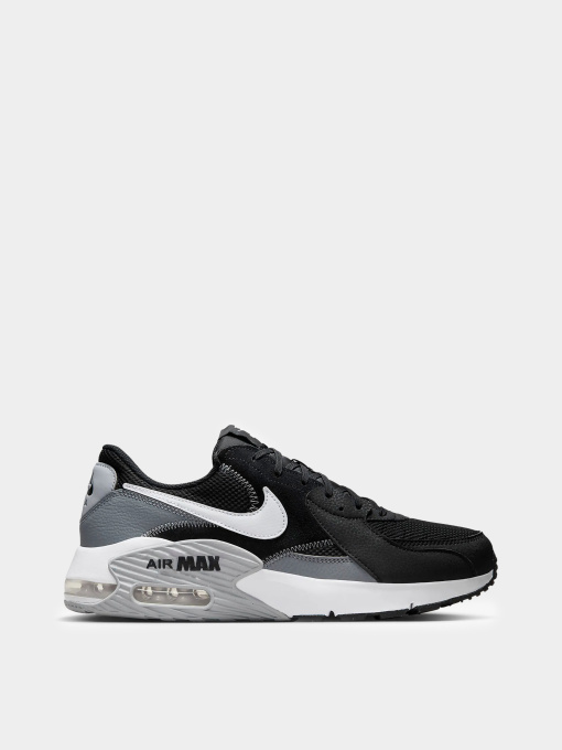 Кроссовки NIKE AIR MAX EXCEE модель FN7304-001 Фото