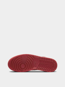 Кеди NIKE AIR JORDAN 1 MID модель DQ8426-061 Фото