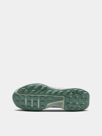 Кроссовки NIKE JUNIPER TRAIL 3 модель FQ0904-300 Фото