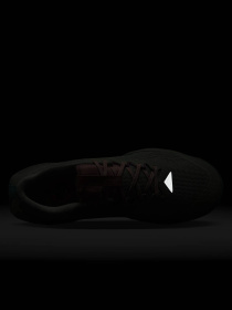 Кроссовки NIKE JUNIPER TRAIL 3 модель FQ0904-300 Фото