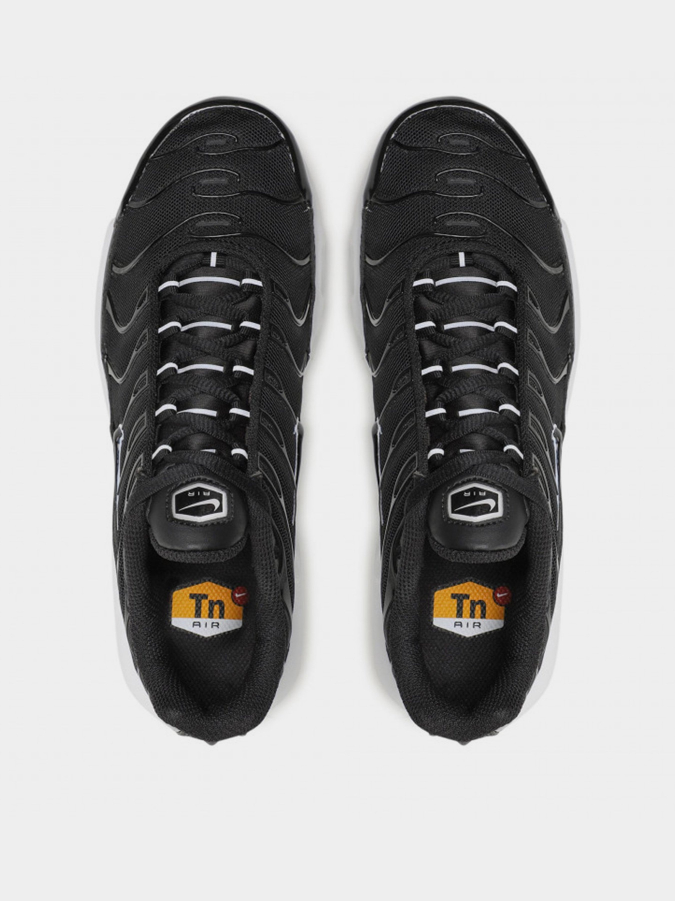 Кроссовки NIKE AIR MAX PLUS модель DM2362-001 Фото