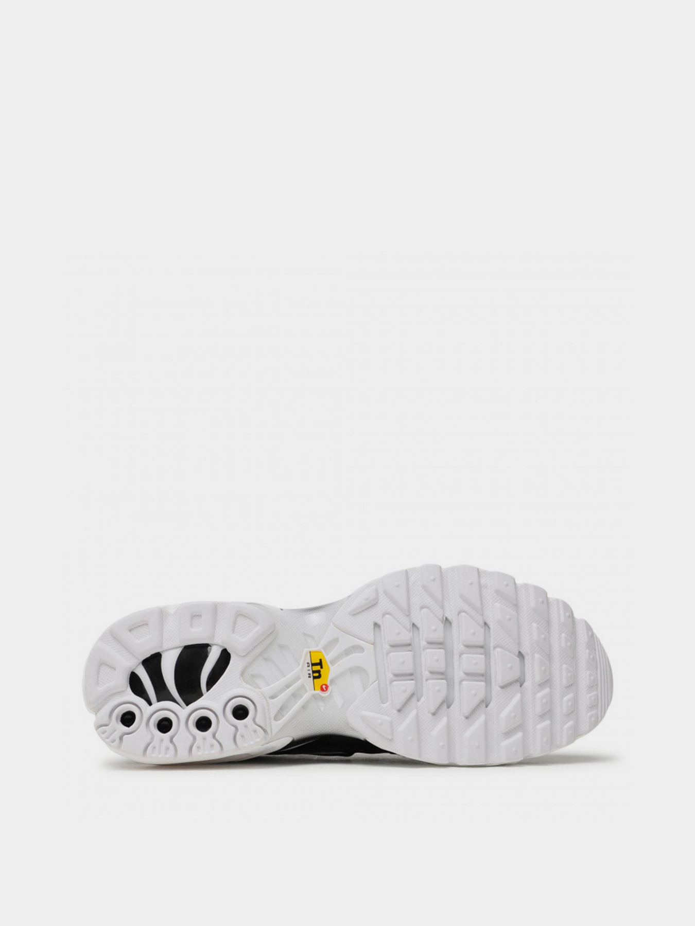 Кроссовки NIKE AIR MAX PLUS модель DM2362-001 Фото