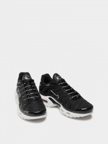 Кроссовки NIKE AIR MAX PLUS модель DM2362-001 Фото