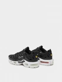 Кроссовки NIKE AIR MAX PLUS модель DM2362-001 Фото
