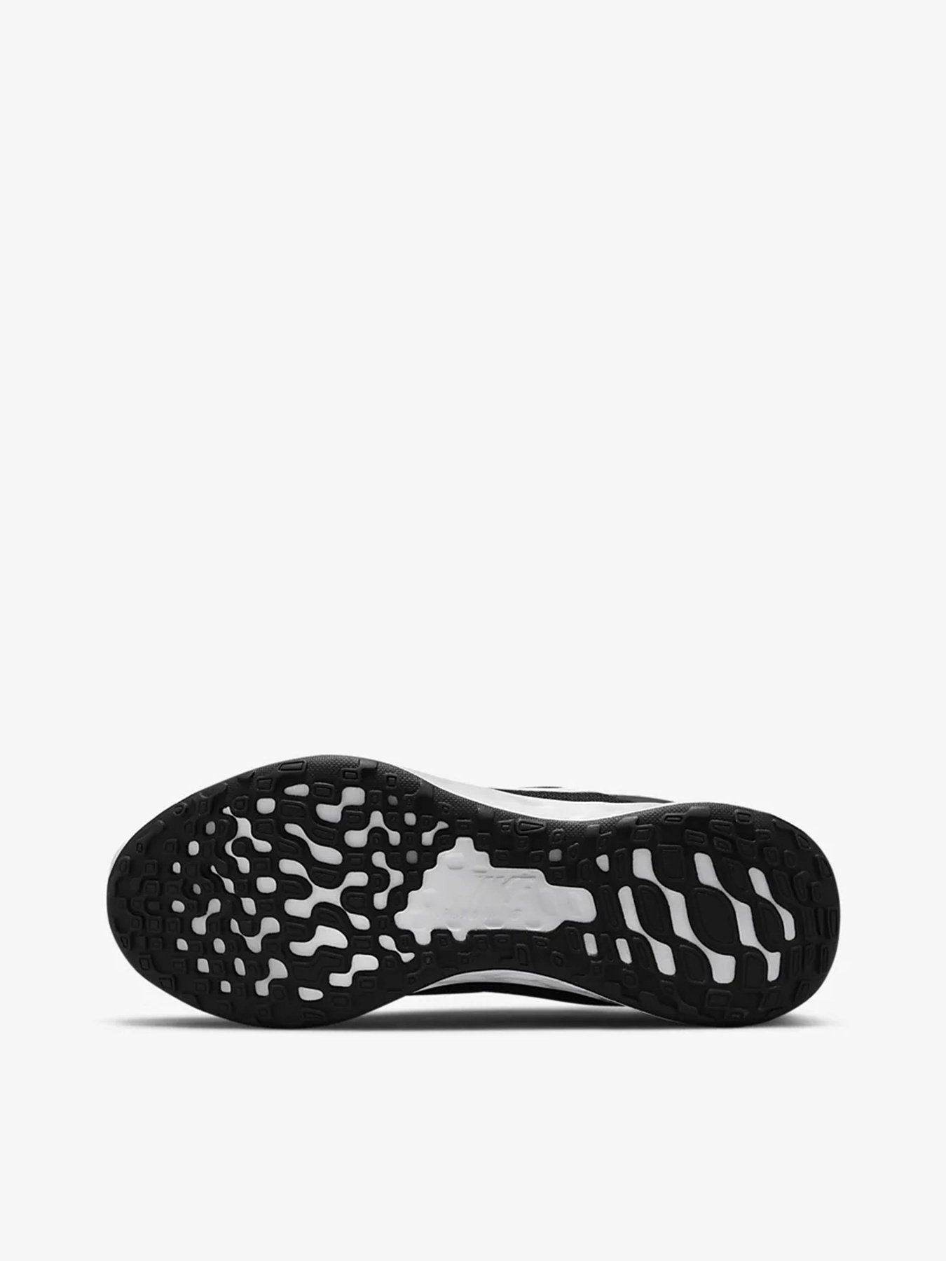Кросівки NIKE Revolution 6 FlyEase Next Nature модель DC8998-003 Фото