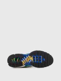 Кросівки NIKE Air Max Plus модель DZ3671-101 Фото