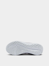 Кросівки NIKE DOWNSHIFTER 13 модель FD6476-007 Фото