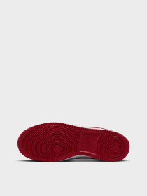 Кеди NIKE COURT VISION LOW NEXT NATURE модель HF1744-101 Фото