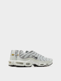 Кроссовки NIKE AIR MAX PLUS модель FV8480-002 Фото