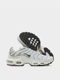 Кроссовки NIKE AIR MAX PLUS модель FV8480-002 Фото