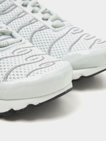 Кроссовки NIKE AIR MAX PLUS модель FV8480-002 Фото