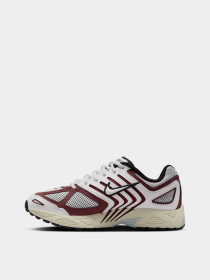Кроссовки NIKE AIR PEGASUS 2005 модель HQ5718-600 Фото