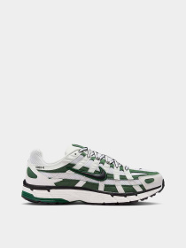 Кросівки NIKE P-6000 модель HF5388-100 Фото