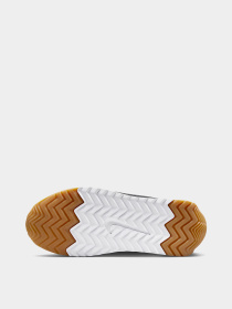 Кросівки NIKE DUNK LOW BG модель HM4771-105 Фото