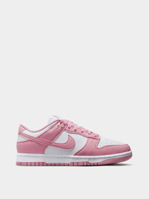 Кеди NIKE DUNK LOW NEXT NATURE модель DD1873-112 Фото